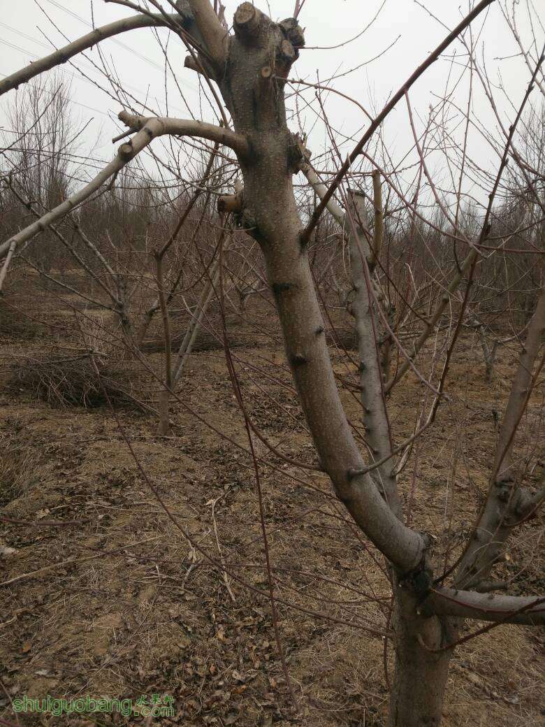 145345gdkelzhzohlyknbv.jpg
