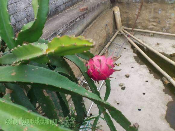 DSC_1635.JPG