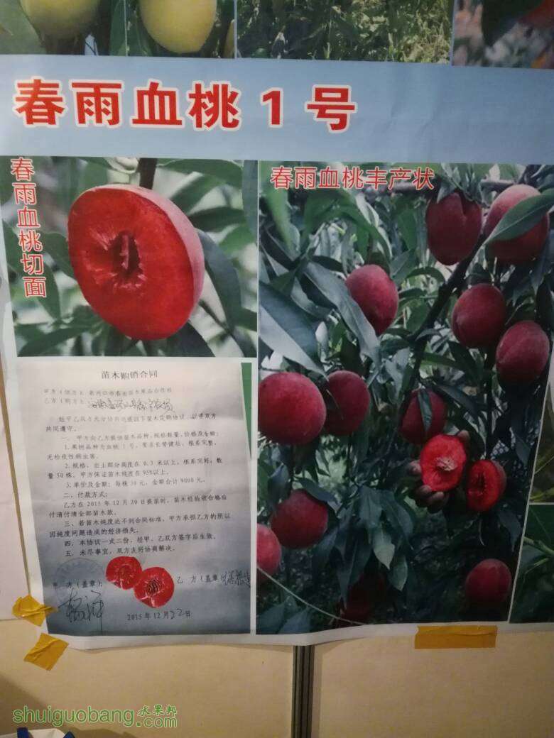 061700iiuiimalcimoii2r.jpg