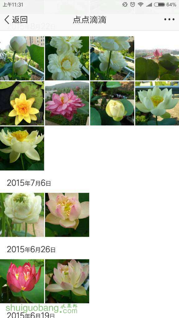 173519as3ta333dr3ihara.jpg