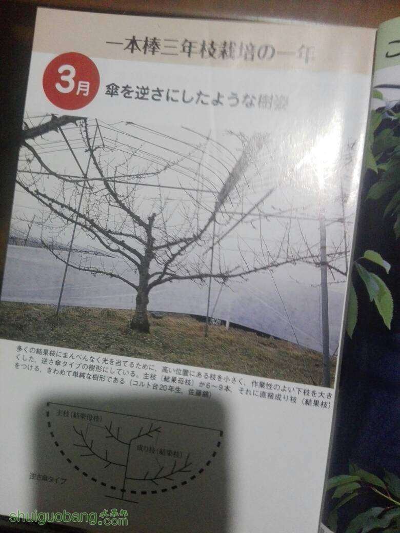 185152sgzq07sw7ee6blqb.jpg