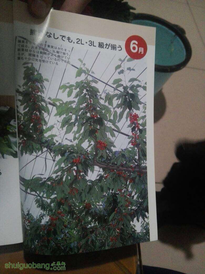 185153gbgbsqsfifb5ffia.jpg