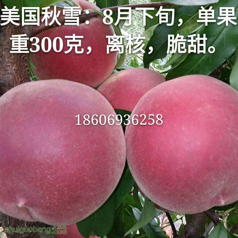 211124rao13kjz36j32pqd.jpg