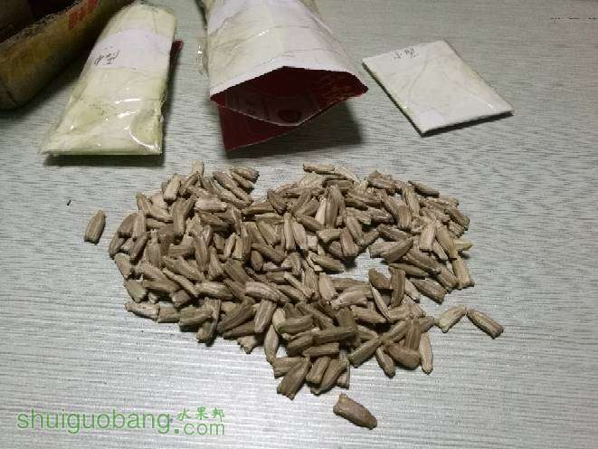 190301bl3l43r8drhsfb9b.jpg