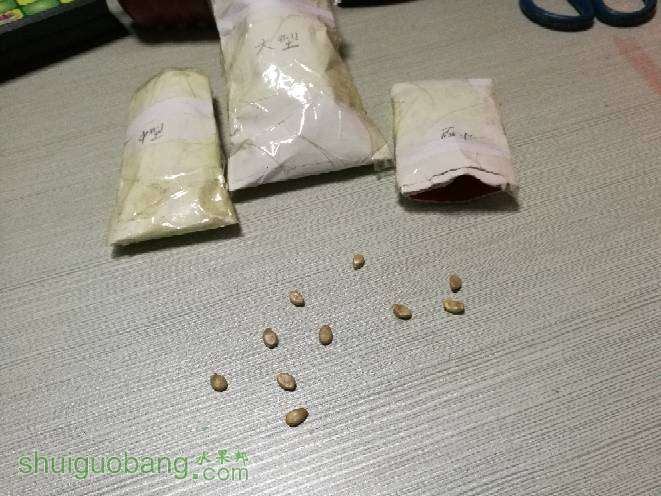 190301zeebzzekezczkmoc.jpg