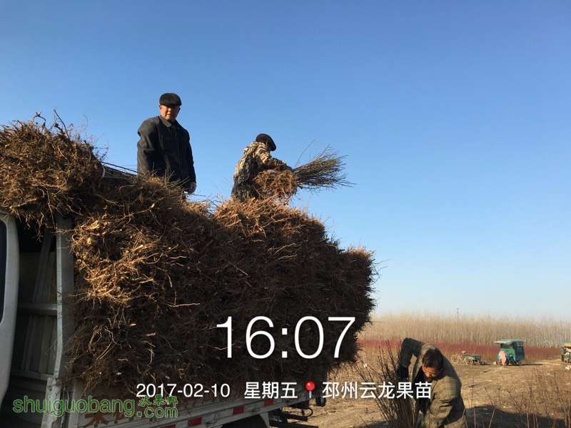 212523m8r4s8886unfo6vr.jpg
