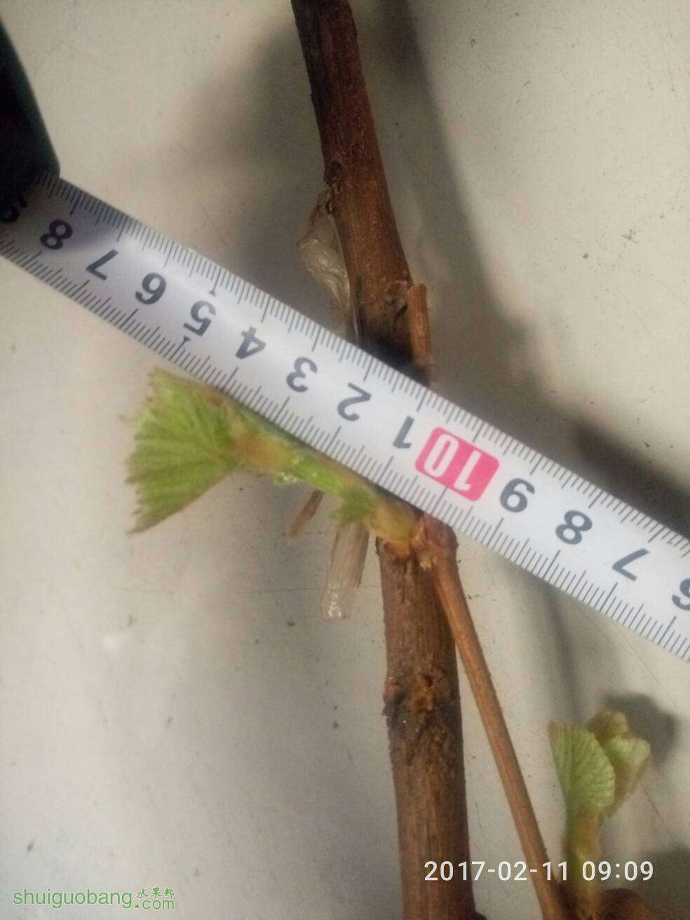 092607myb89av6ycfv8yhy.jpg