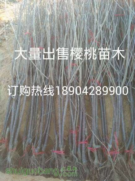 QQͼƬ20170207194855.jpg