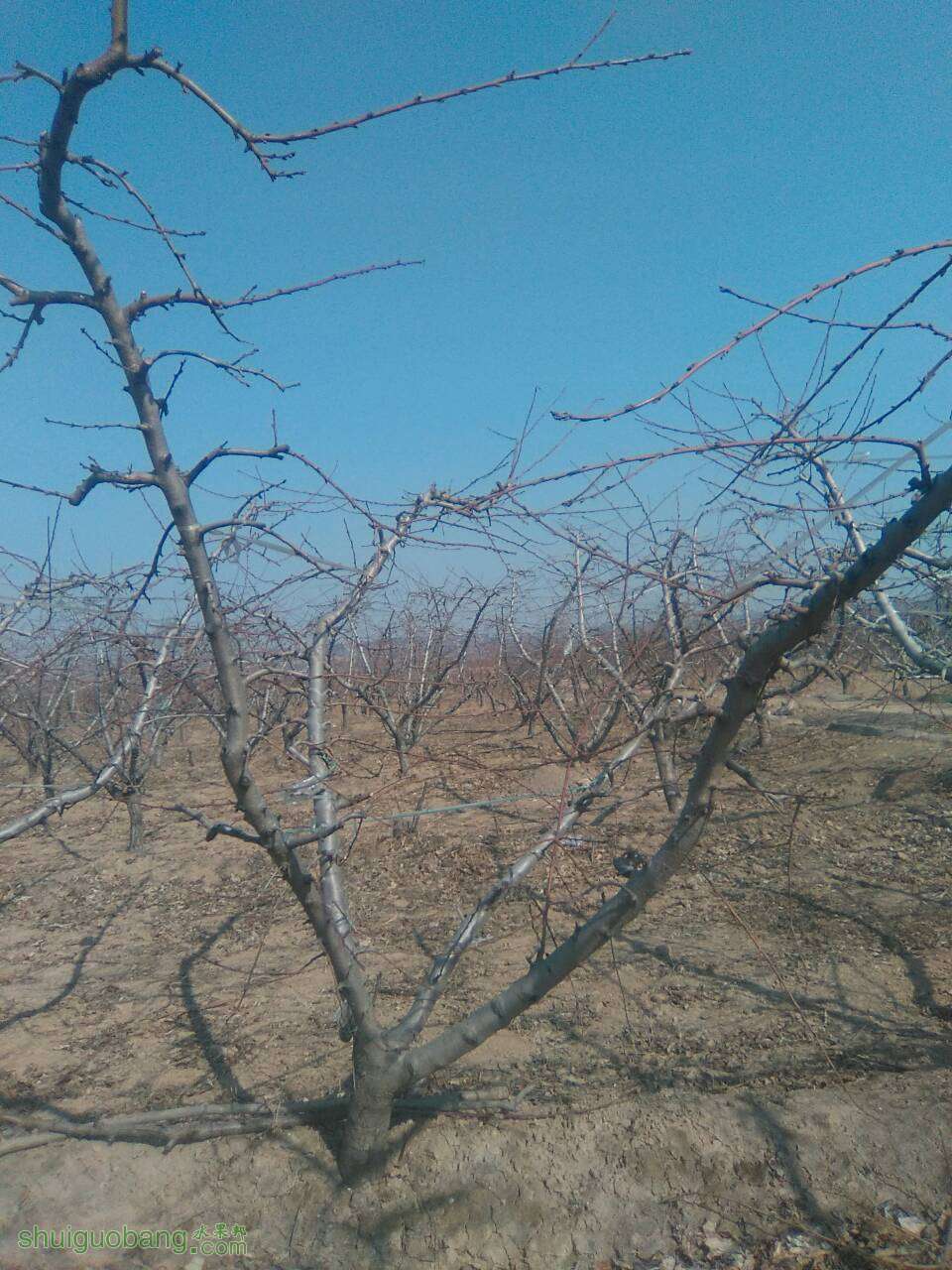120242kw88lnndlvqzad70.jpg