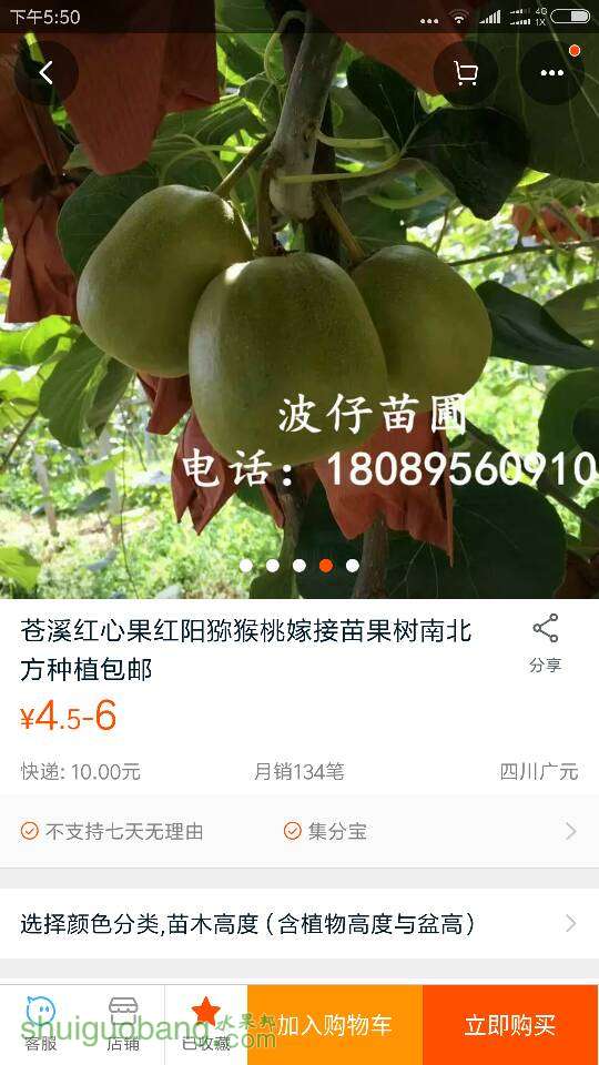 175212yeh84eki3mk48ime.png