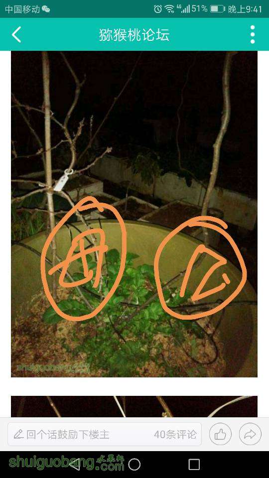 214337d1jjjt1h1htehbhi.png