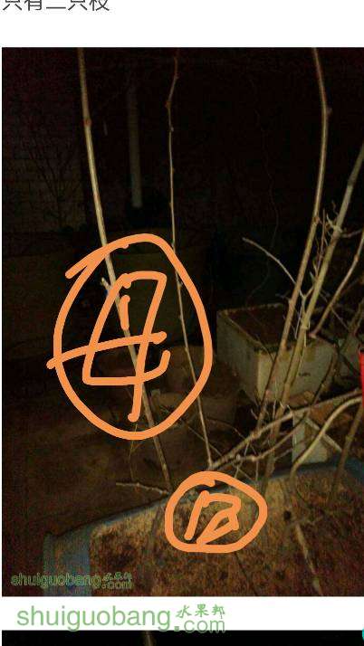 214337dyyb0kbchoi5h7hh.png