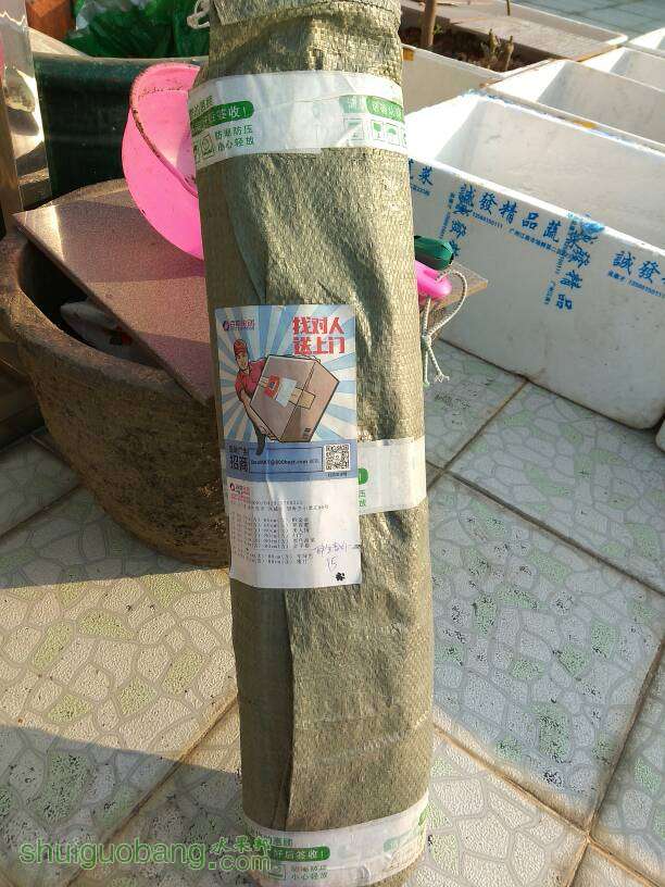 165036b8kmq8qtqqw8m0ja.jpg