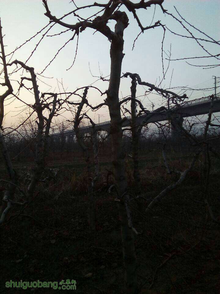 201644sm33iiuxnxufzeuz.jpg