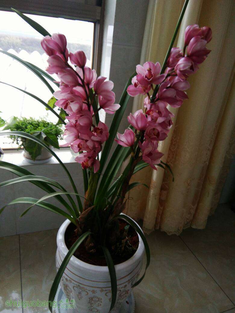 081735fp7xyxbsmbj4xxjm.jpg