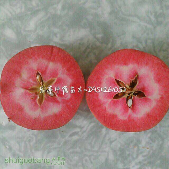 084007phty9goej8ogn9ta.jpg