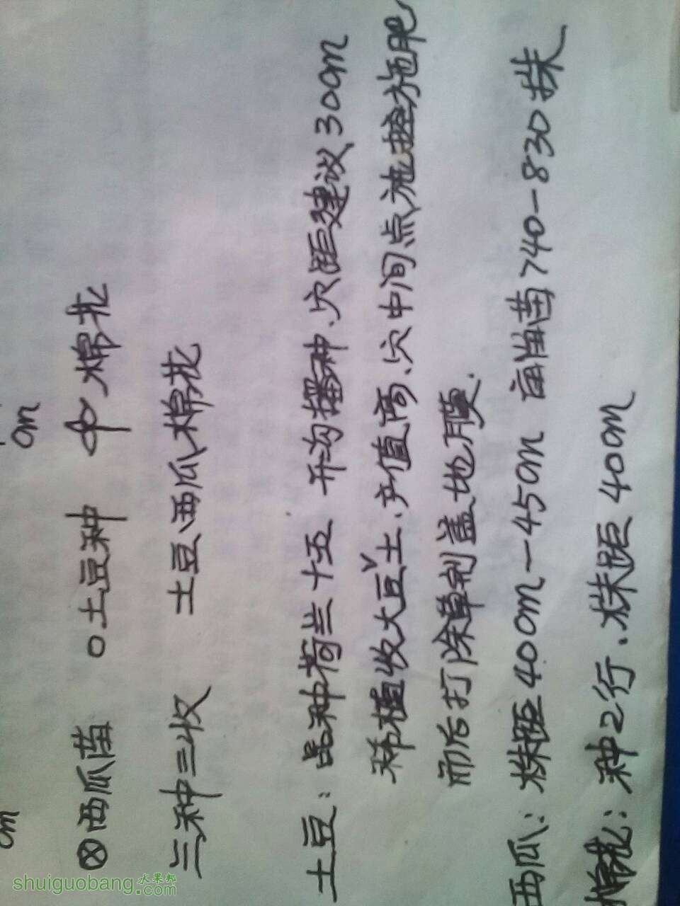 101351cnq845557vg48qpn.jpg