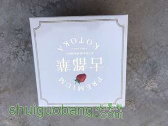 195019jn5usxhu51hhnh1h.jpg