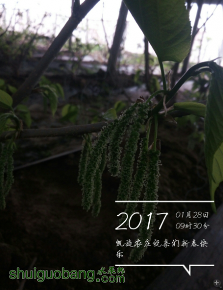 QQͼ20170214165226.png