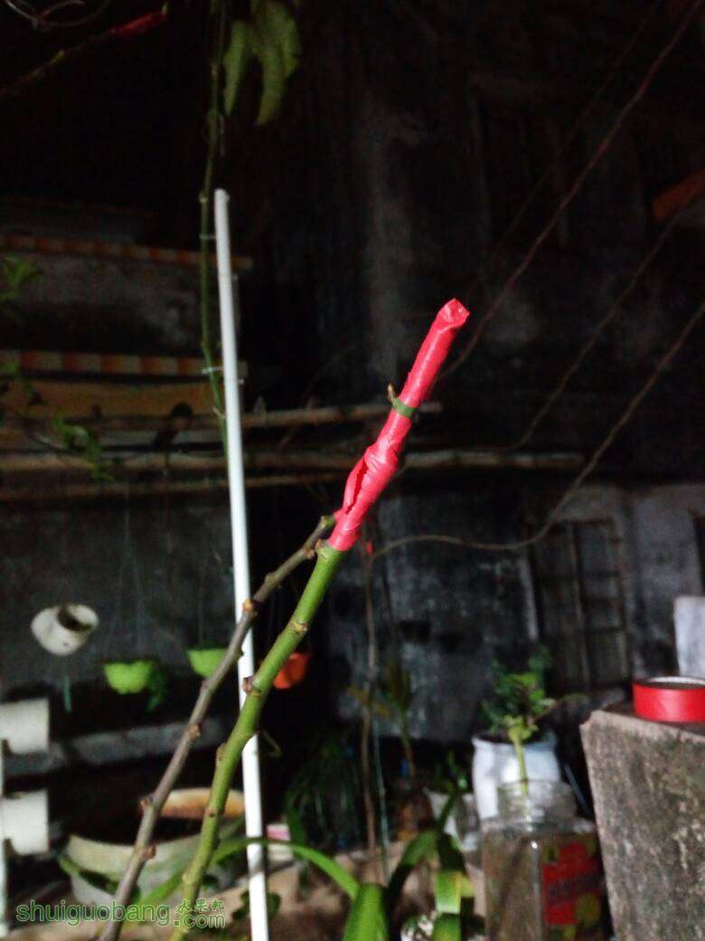 200458h3mjjf6mjvve4jx4.jpg