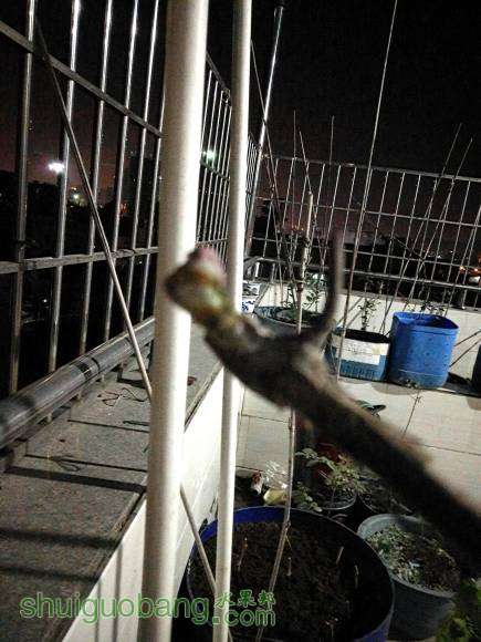 IMG20170214202825.jpg