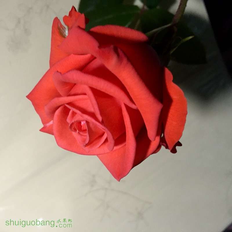 005920h4m0ji83jq8p72jl.jpg