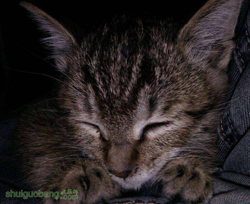112255xvx9dcv1sxc9a99k.jpg