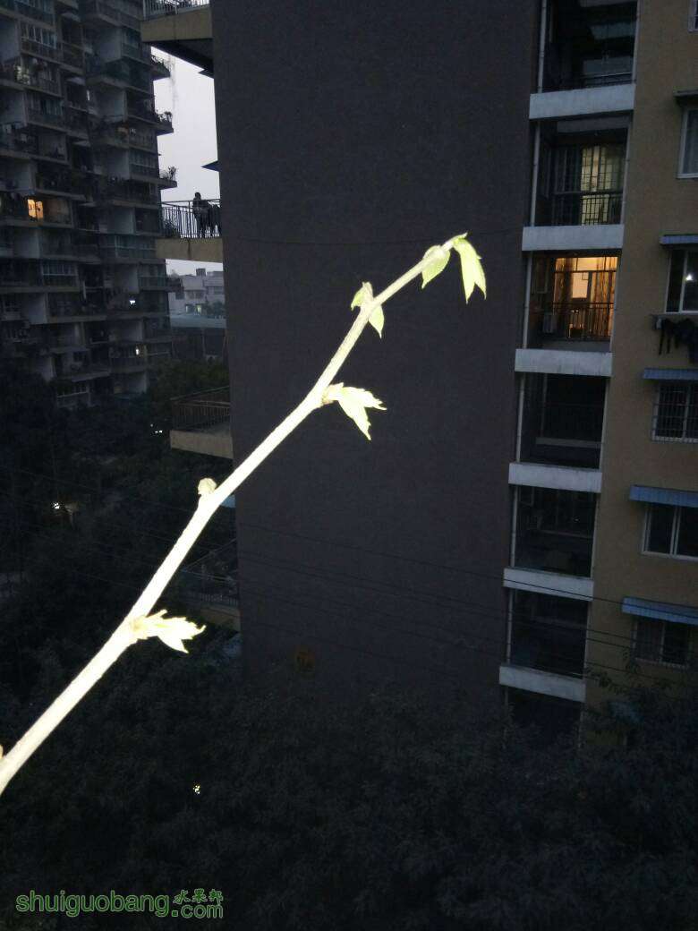 203026jtdtdjqg4j7pzgdg.jpg