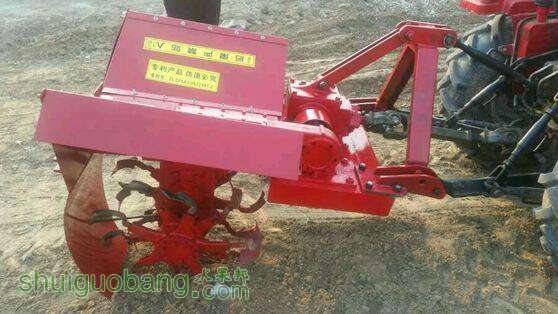 233005eqbibtp7et2zogn2.jpg