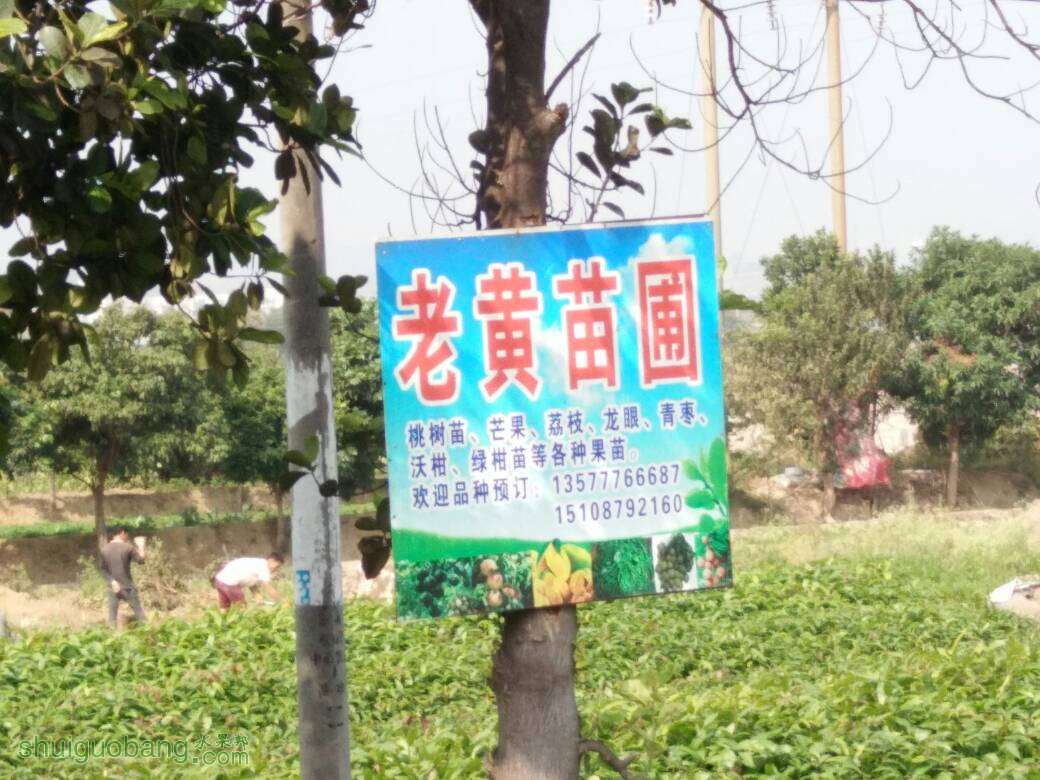 134556lipp01ftkptgzgei.jpg
