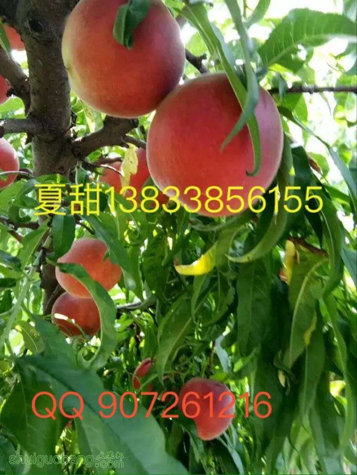 214943h06rfbkvtv66tkh8.jpg