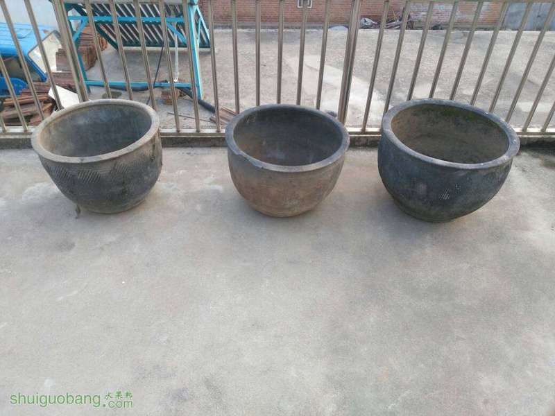 232038bzmhm2p9wpo1ffhz.jpg