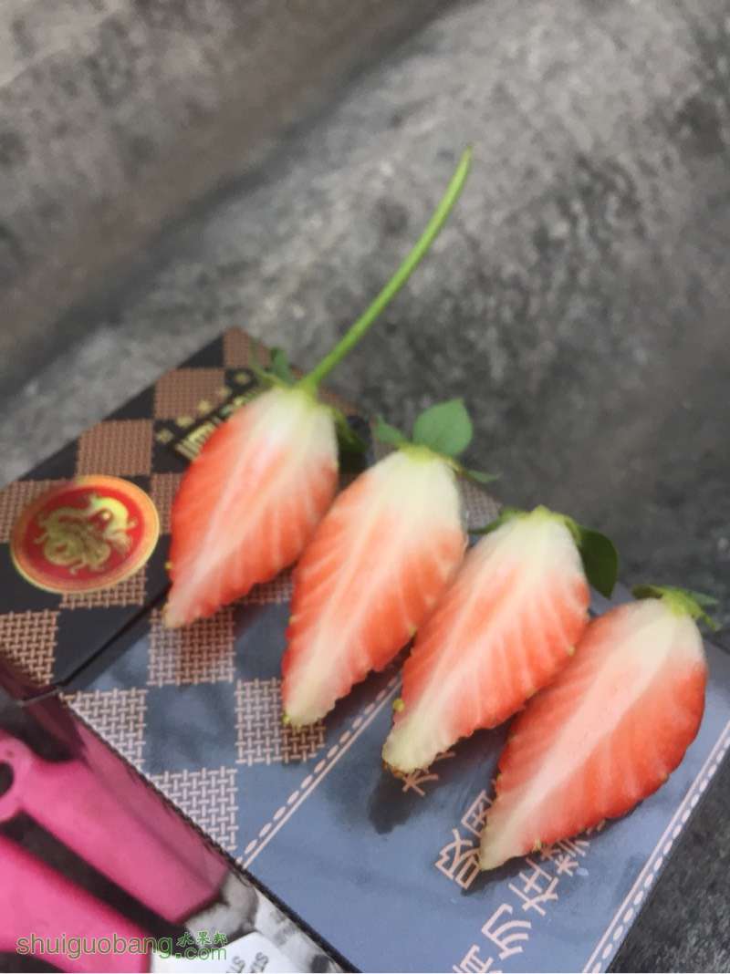 000344gofkxfzenszehku4.jpg