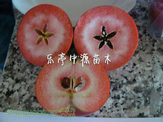 091557knnnw7qxtfnni7bn.jpg