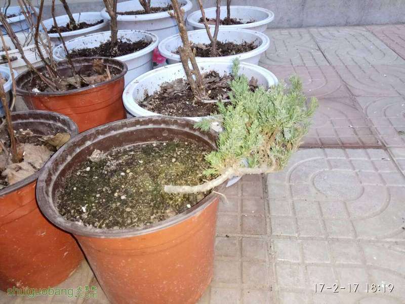 101314t98viisdi3yi9iiz.jpg