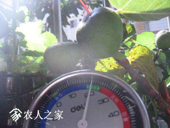 11 408.jpg