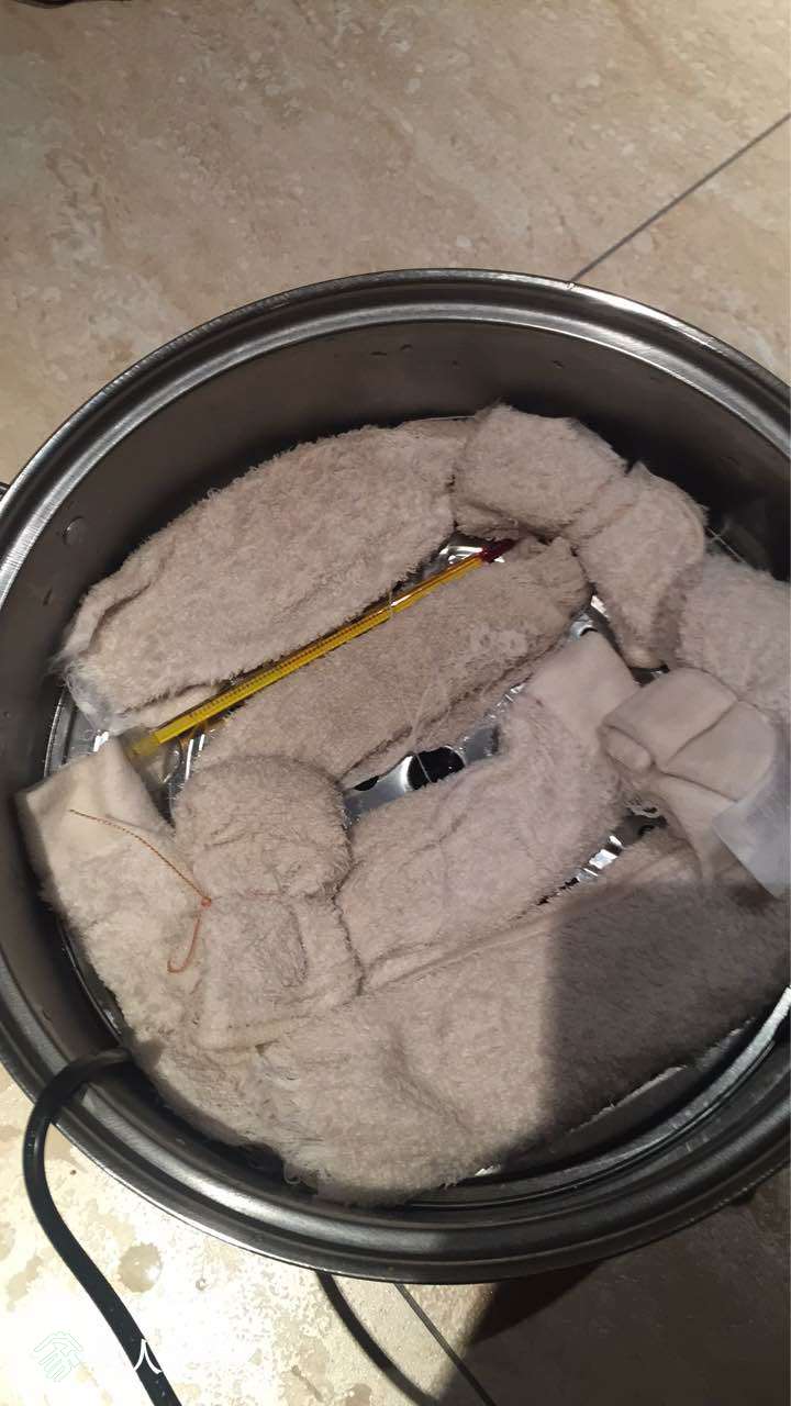 201921vz9vo443aiie41iw.jpg