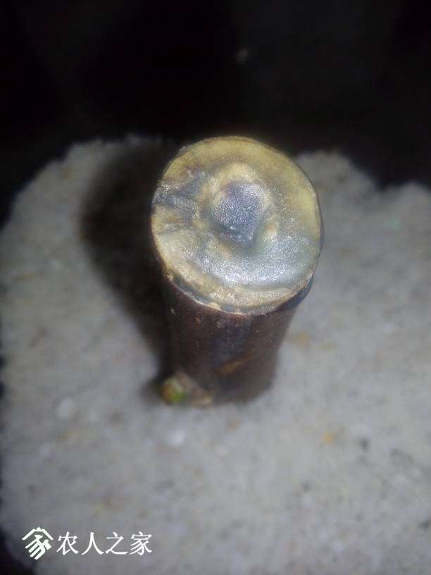221619df6lsu6mblwasasa.jpg