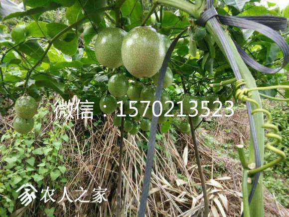 268464519568148078_meitu_3.jpg