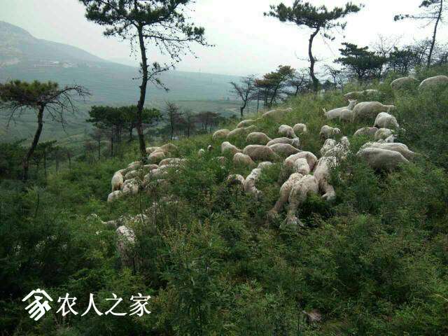 095720p02v0cn02smxy1xs.jpg