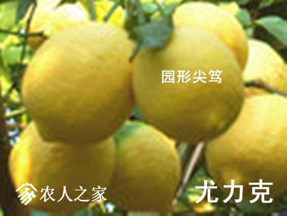 u=3174931329,4153362994&amp;fm=58___.jpg