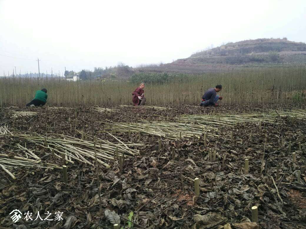 140332doose1osjvqovoqj.jpg