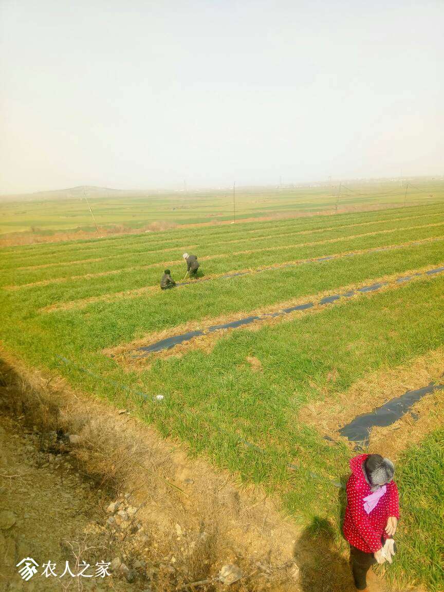 105121ponjgb3yot6otib0.jpg