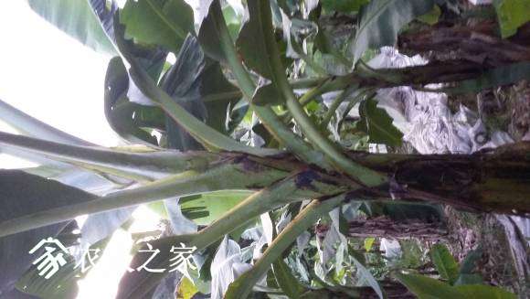 20160716_191006.jpg