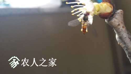 20170220_132239.jpg