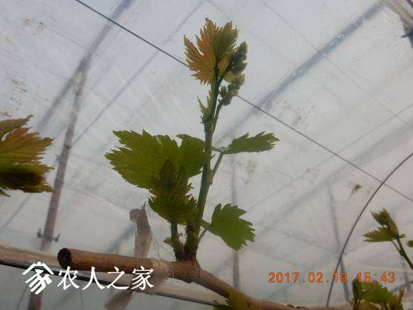 DSCN7105.JPG