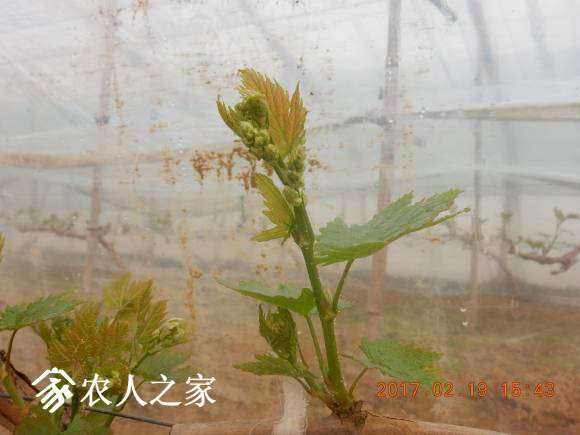 DSCN7106.JPG