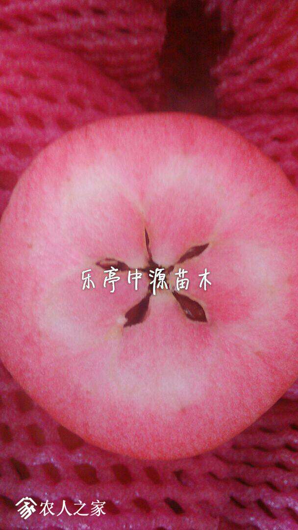 212903n8yfe9j84nfynayb.jpg