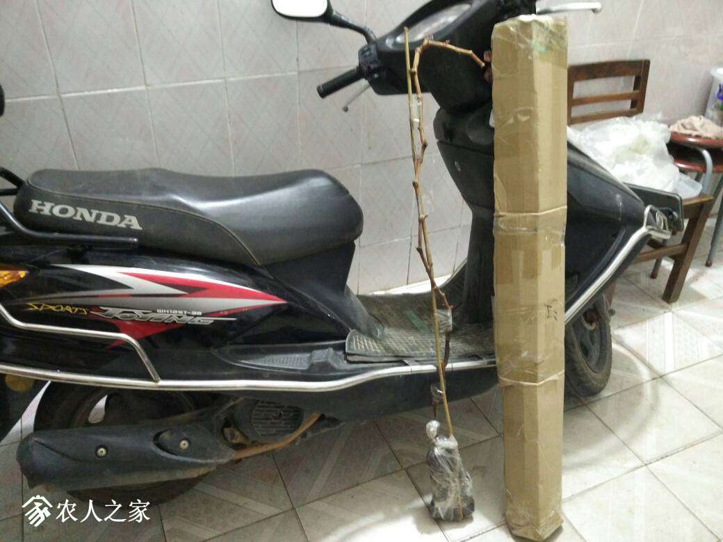 231824omzttml0lx3tjj3v.jpg