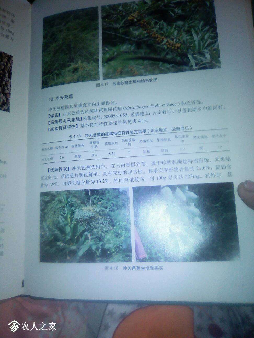 071927f6jf1uggp7gn2hgh.jpg